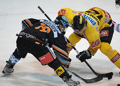 Rob Shearer Liwest Black Wings Linzund David Rodman, EV Vienna Capitals