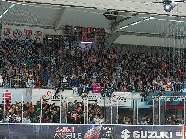 Die Fans der Liwest Black Wings in Salzburg, EC Red Bull Salzburg vs EHC Liwest Black Wings Linz, Halbfinale, 3. SF Semifinale, Play-Offs 