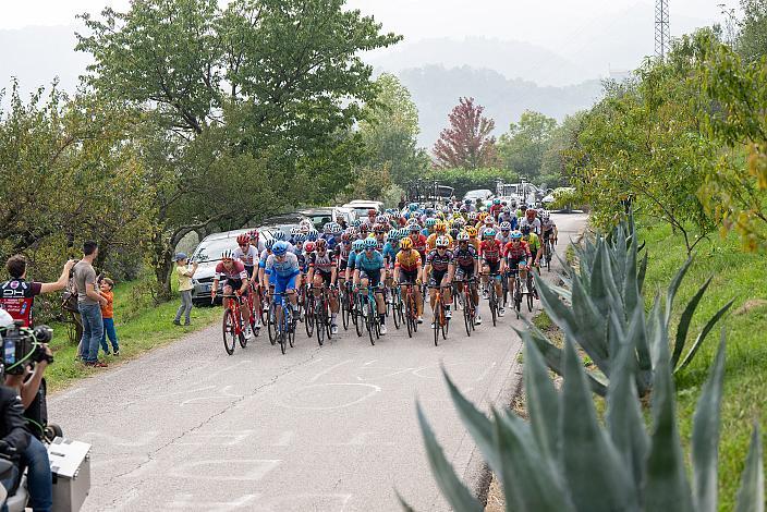 das Peleton in der Auffahrt zur Bergwertung La Rosina, Marostica, Veneto Classic, Treviso - Bassano del Grappa, Veneto, ITA 190km