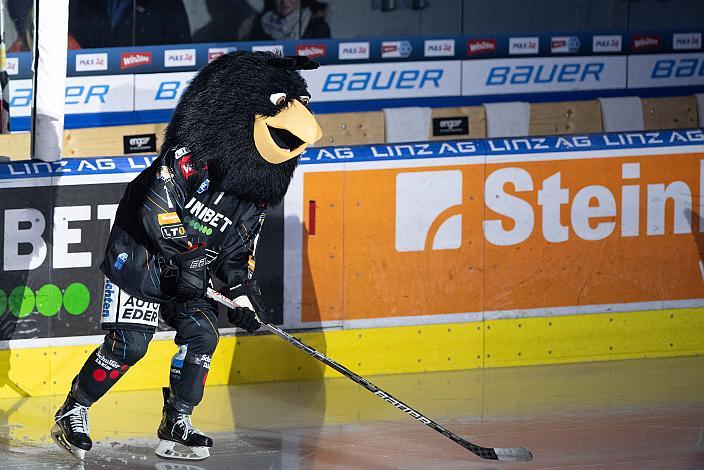 Das Steinbach Blackwings Linz Maskottchen Gonzo Steinbach Black Wings Linz vs  - Migross Supermercati Asiago Hockey 1935, Runde 37, ICE Hockey League, Steinbach Black Wings Linz, Linz AG Eisarena 