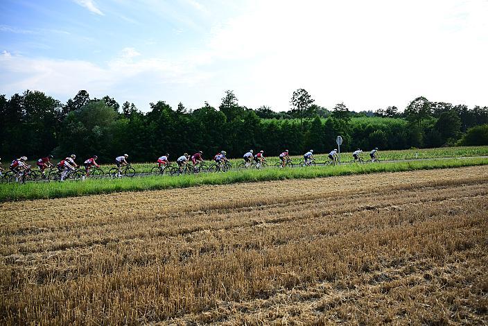 Das Peloton bei Marchtrenk, 1. Etappe Marchtrenk  - Marchtrenk, Int. Oberösterreichische Versicherung OÖ Junioren Oberösterreich Rundfahrt 