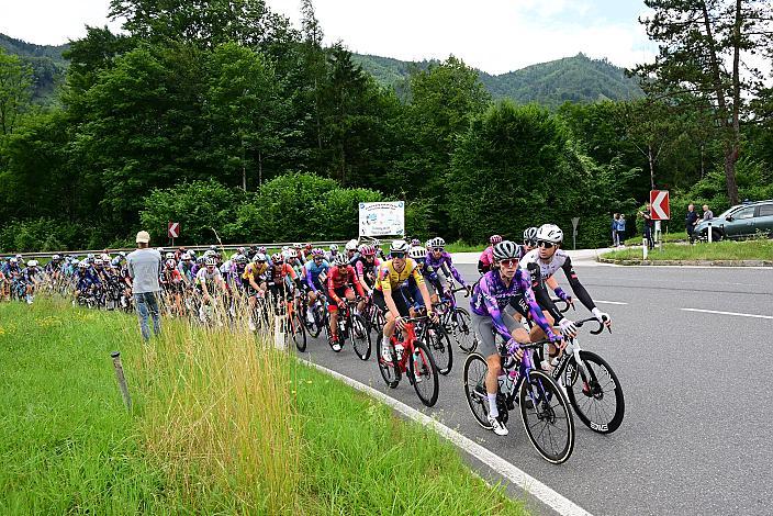 Das Peloton bei St. Pankranz 1. Etappe Steyr -  Steyr, Tour of Austria, Steyr Austria