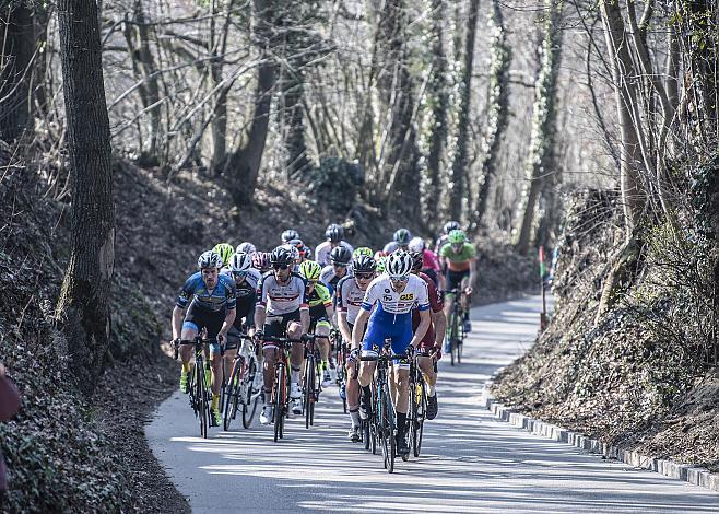 Die Spitzengruppe am Aichberg 59. Rad SaisonerÃ¶ffnungsrennen Leonding, Rad Bundesliga 2019