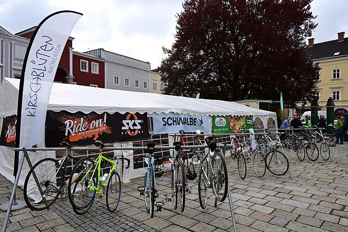 Rennrad, Frühling, Kirschblüten Radklassik, Oberösterreich, 