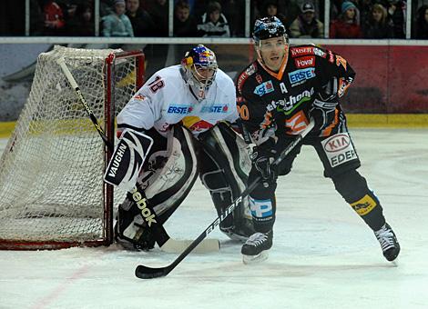 Brad Purdie Liwest Black Wings Linz, Reinhard Divis EC Red Bull Salzburg