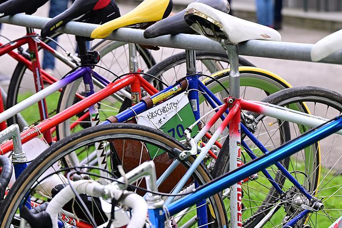 Rennrad, Frühling, Kirschblüten Radklassik, Oberösterreich, 