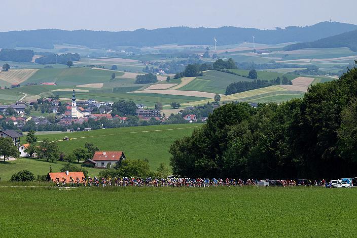 Das Peleton bei Lohnsburg 1. Etappe Eferding - Geinberg, Int. Raiffeisen Oberösterreich Rundfahrt UCI Kat. 2.2