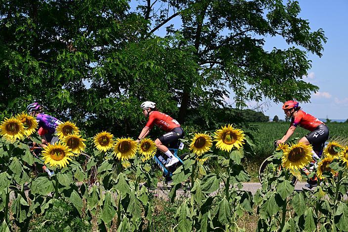 v.l. Christina Schweinberger (AUT, Fenix-Deceuninck) , Kathrin Schweinberger (AUT, Human Powered Health)  ÖM Staatsmeisterschaft, Strassenrennen,, Illmitz, Burgenland
