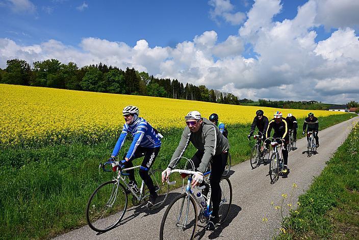 8. Kirschblüten Radklassik, Rad Klassik, Oldtimer, Vintage, Stahlrad, Radsport, Eferding, Oberösterreich