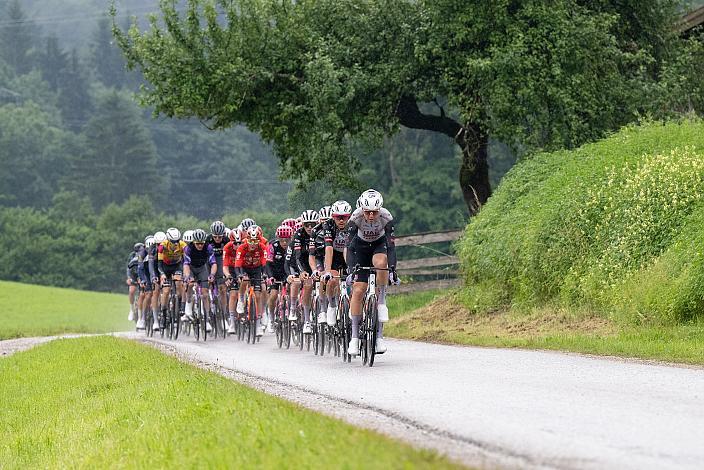 Das Peloton am Gaisberg angeführt von  Florian Vermeeersch (BEL, UAE Team Emirates - XRG), 3. Etappe Salzburg - Gaisberg,  Tour of Austria