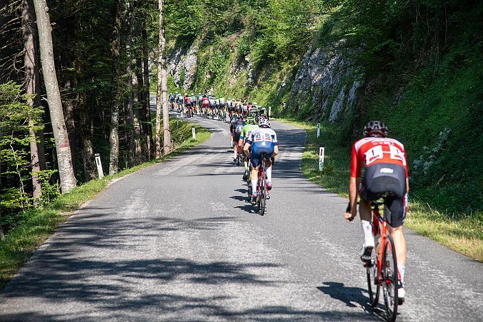 Das Feld im Mendlingtal Hochkar, NÖ, Österreichsen Meisterschaft Berg, ÖRV RadLiga, Radsport, Radliga, ÖRV, Herren Elite, 