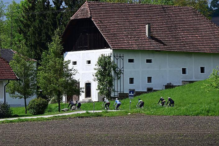 8. Kirschblüten Radklassik, Rad Klassik, Oldtimer, Vintage, Stahlrad, Radsport, Eferding, Oberösterreich