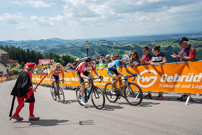  7. Etappe Waidhofen/Ybbs - Sonntagberg 70. Österreich Rundfahrt 