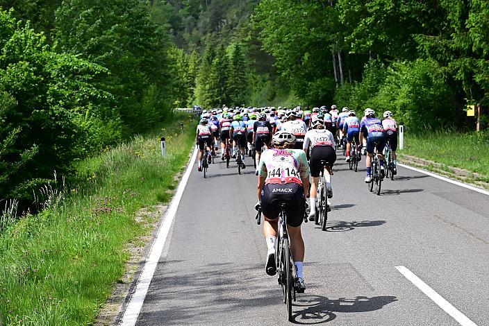 Das Peloton unterwegs im Ybbstal zum Hochkar, Ybbsitz - Hochkar, Sportland NÖ women tour