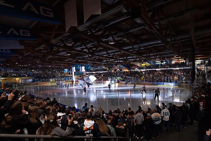 Fans der Steinblach Black Wings Steinbach Black Wings Linz vs EC Red Bull Salzburg, Playoffs, 2. Viertelfinale, Linz AG Eisarena 