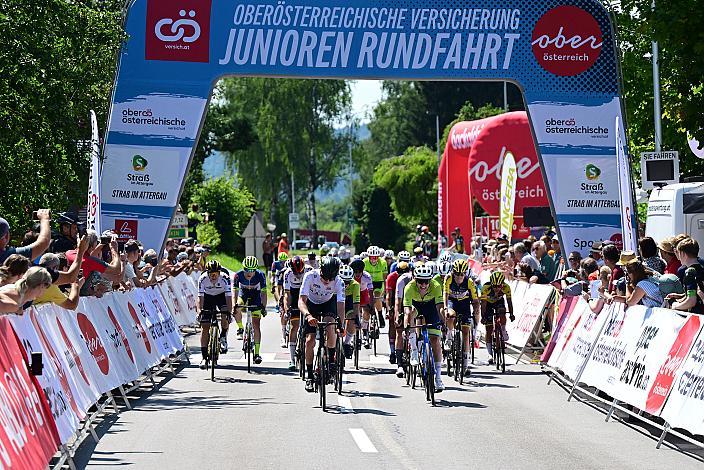 Das Peloton im Zeil 3. Etappe Bad Wimsbach - Strass im Attergau, Int. Oberösterreichische Versicherung OÖ Junioren Oberösterreich Rundfahrt