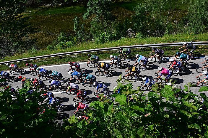 Das Peloton unterwegs in der Region Ybbstal, bei Hollenstein an der Ybbs, Vier Länder Meisterschaft U23,  Austria
