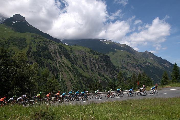 Das Peleton im Anstieg zum Fuscher Törl,  4. Etappe, Radstadt - Fuscher Törl, 71. Österreich Rundfahrt, Tour of Austria (UCI 2.1)