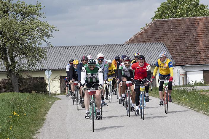 das Feld der Fahrer bei Waizenkirchen

