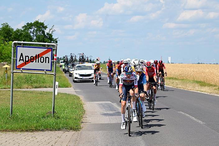 Alexander Hajek (AUT, Red Bull - Bora - hansgrohe) ÖM Staatsmeisterschaft, Strassenrennen,, Illmitz, Burgenland