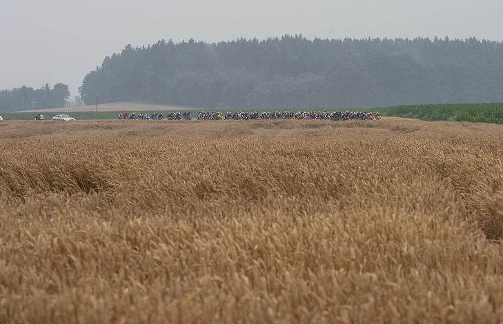 Das Feld in Bad Wimsbach 