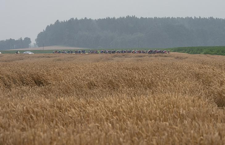 Das Feld in Bad Wimsbach 