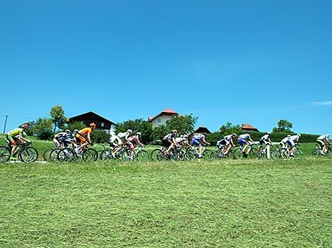 Das Feld der OOE Tour,  OOE Rundfahrt, 3. Etappe Traun - Garsten