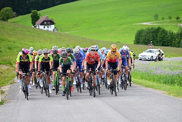 Das Peloton auf der 2. Etappe unterwegs von , Wels nach Aigen - Schlägl, 14. Int. Raiffeisen OÖ-Radrundfahrt UCI Kat. 2.2