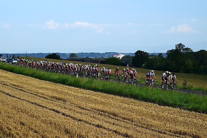 Das Peloton bei Marchtrenk 1. Etappe Marchtrenk  - Marchtrenk, Int. Oberösterreichische Versicherung OÖ Junioren Oberösterreich Rundfahrt