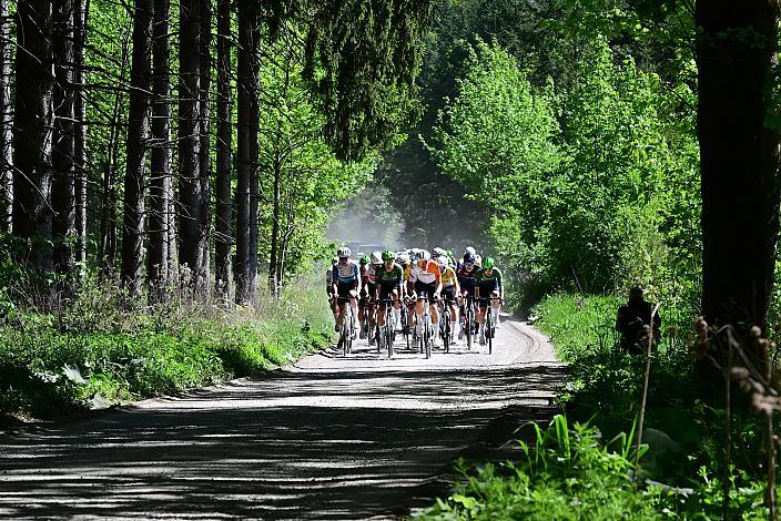 Herren Elite, U23, Road Cycling League Austria