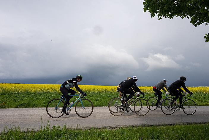 8. Kirschblüten Radklassik, Rad Klassik, Oldtimer, Vintage, Stahlrad, Radsport, Eferding, Oberösterreich