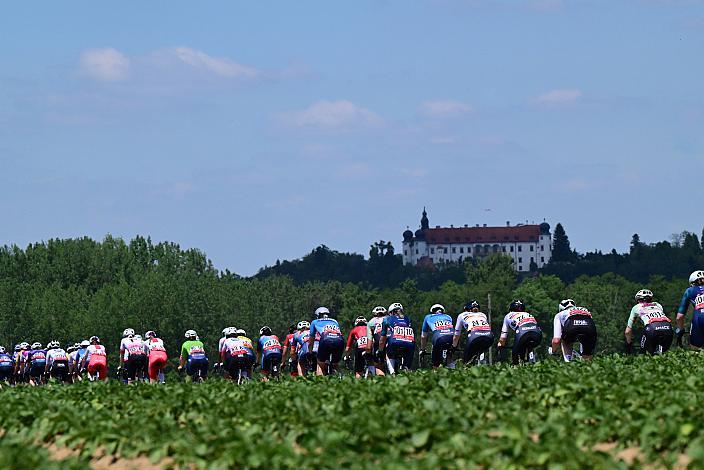 2. Etappe Peloton, Sportland NÖ women tour