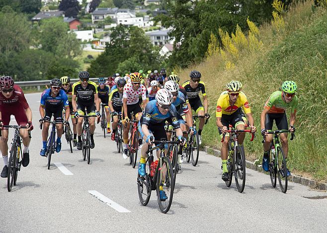 Das Feld mit Jannik Steimle (GER, Team Vorarlberg Santic)  bei Weisskirchen, 3. Etappe Traun - Ternberg, Radsport 10. Int. OOE Rundfahrt