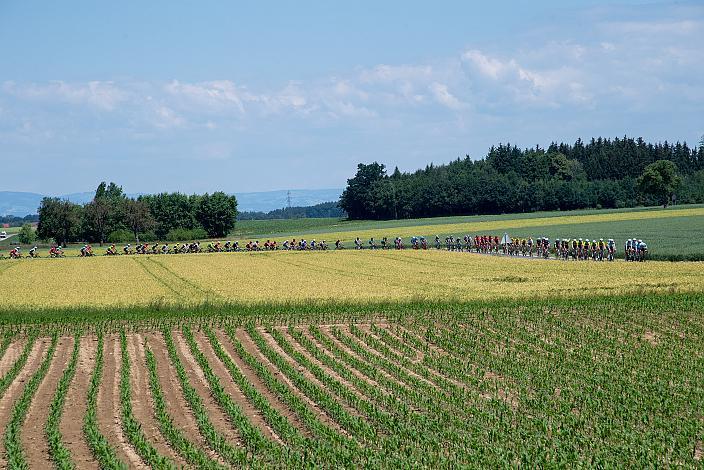 St.Florian, Asten - Resort Hinterstoder, Höss, Int. Raiffeisen Oberösterreich Rundfahrt UCI Kat. 2.2