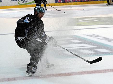 Brett Engelhardt, Stuermer, Liwest Black Wings 2012/2013