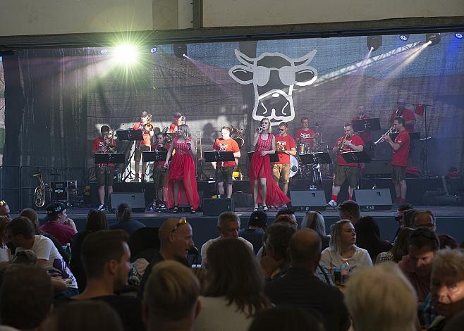 Ramba Zamba, Musikgruppe Pro Solistâ€™y 