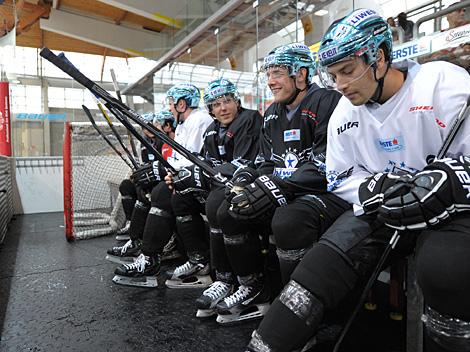 Warten auf die neue Eiszeit, Liwest Black Wings 2012/2013