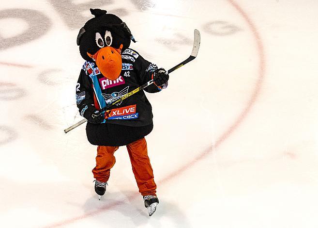 Im Bild: Gonzo das Maskottchen des EHC Liwest Black Wings linz,   Eishockey,  EHC Liwest Black Wings Linz vs Hydro Fehervar AV 19