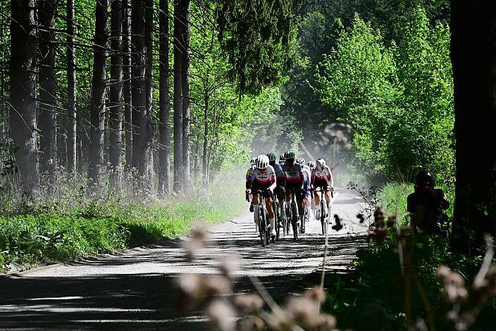 Damen Elite, U23, Road Cycling League Austria