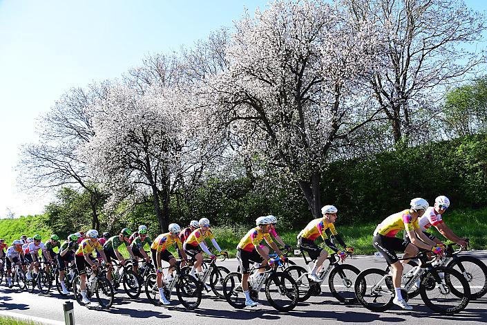 Herren Elite, U23, Road Cycling League Austria, 64. Raika Kirschbluetenrennen, Wels, Oberösterreich