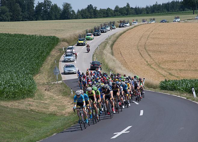 Das Feld bei Alhaming 4. Etappe Traun - Ternberg