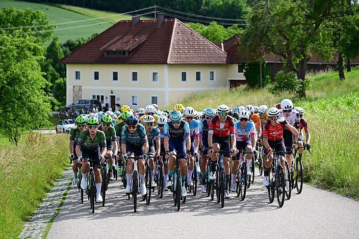 Das Peloton unterwegs im Traunviertel  3. Etappe Asten - Bad Schallerbach, Oberösterreich Rundfahrt