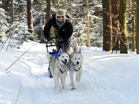 Brian Lebler mit seinem Gespann, EHC Liwest Black Wings Linz zu Gast auf der Mountain Wulf Farm