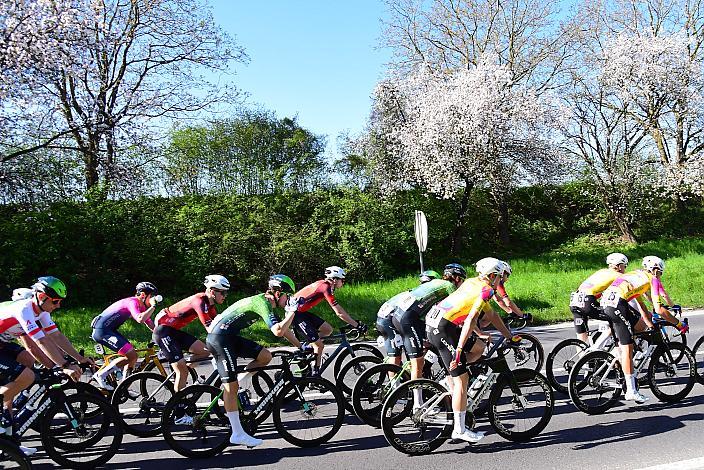 Herren Elite, U23, Road Cycling League Austria, 64. Raika Kirschbluetenrennen, Wels, Oberösterreich