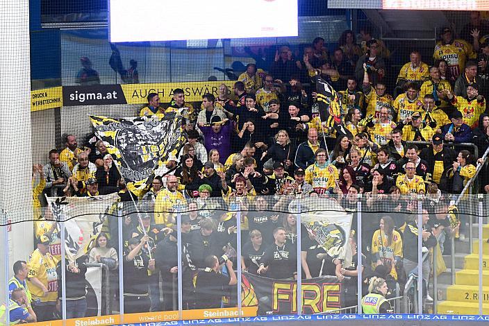 Fans der Vienna Capitals Win2Day ICE Hockey League,  Steinbach Black Wings Linz vs Spusu Vienna Capitals,  Linz AG Eisarena 