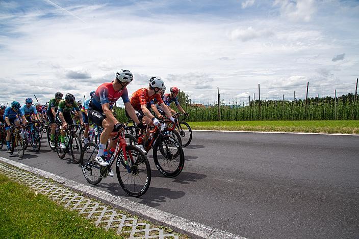 Das Peloton auf der 2. Etappe unterwegs von , Wels nach Aigen - Schlägl, 14. Int. Raiffeisen OÖ-Radrundfahrt UCI Kat. 2.2
