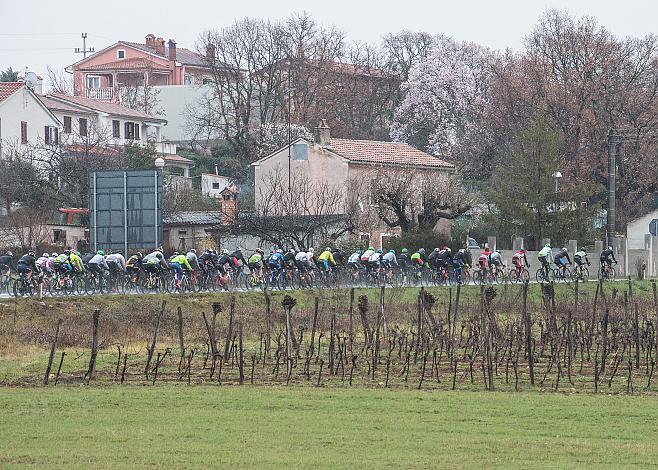  4. Grand Prix Laguna Porec UCI 1.2