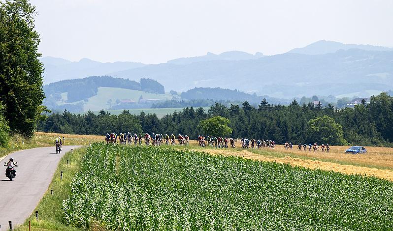Herren Elite, U23, Radliga, 51. Int. Erlauftaler Radsporttage, Wieselburg, Oberösterreich