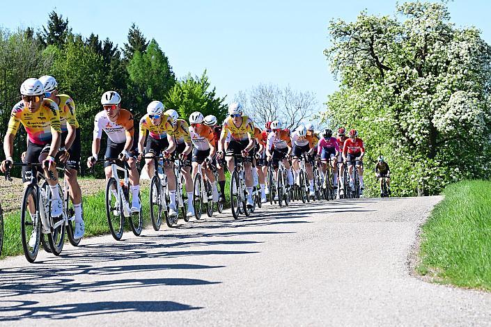 Herren Elite, U23, Road Cycling League Austria, 64. Raika Kirschbluetenrennen, Wels, Oberösterreich
