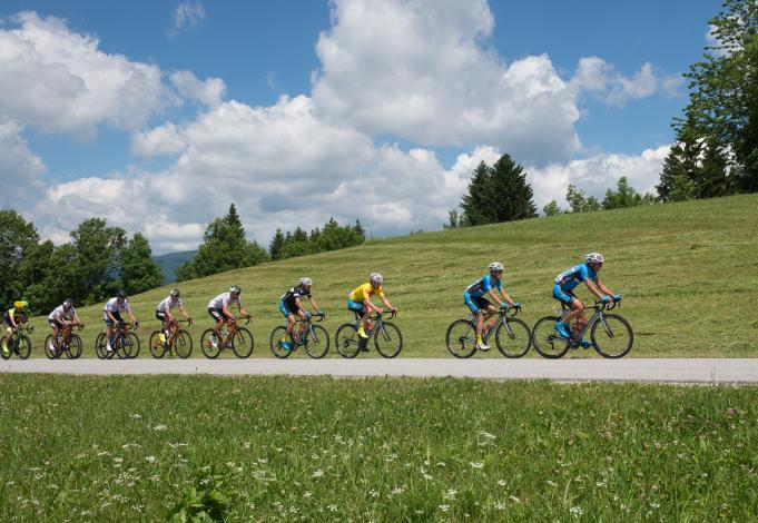 das Feld mit Stephan Rabitsch (AUT, Team Felbermayr Simplon Wels) an der Bergwertung Pöcker 
das Feld mit Stephan Rabitsch (AUT, Team Felbermayr Simplon Wels) an der Bergwertung PÃ¶cker 